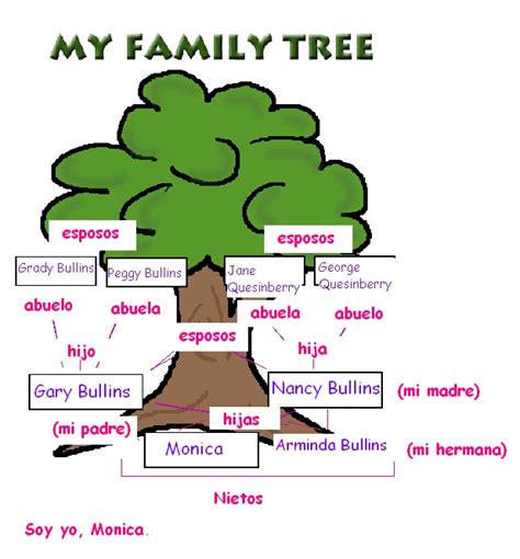 tree in spanisj